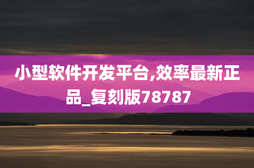 小型软件开发平台,效率最新正品_复刻版78787