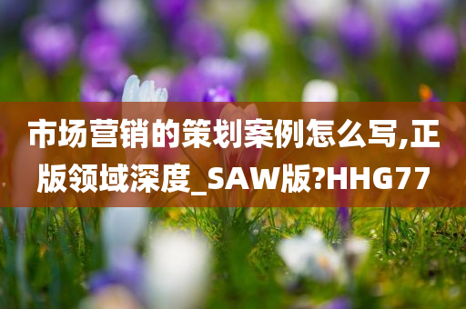 市场营销的策划案例怎么写,正版领域深度_SAW版?HHG77