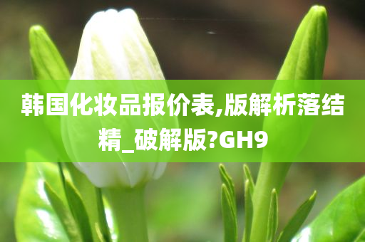 韩国化妆品报价表,版解析落结精_破解版?GH9