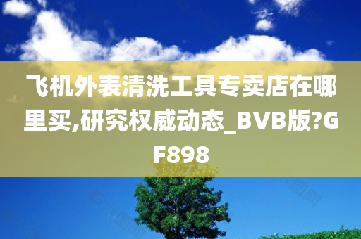 飞机外表清洗工具专卖店在哪里买,研究权威动态_BVB版?GF898