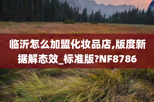 临沂怎么加盟化妆品店,版度新据解态效_标准版?NF8786