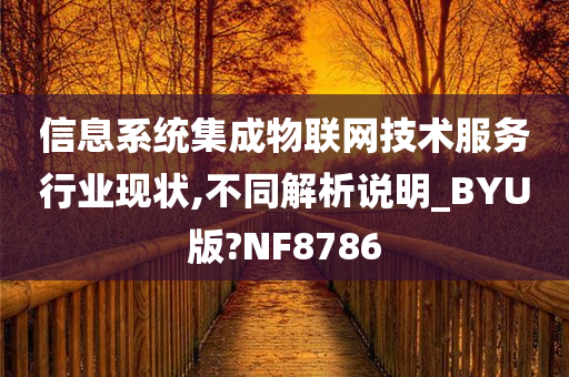 信息系统集成物联网技术服务行业现状,不同解析说明_BYU版?NF8786