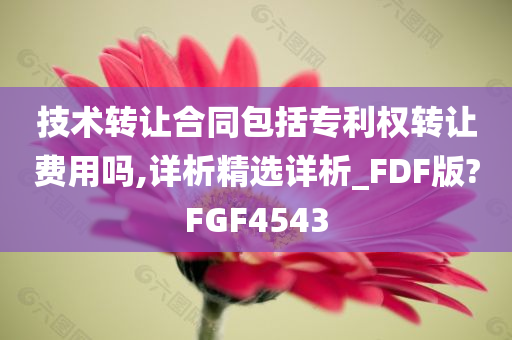 技术转让合同包括专利权转让费用吗,详析精选详析_FDF版?FGF4543