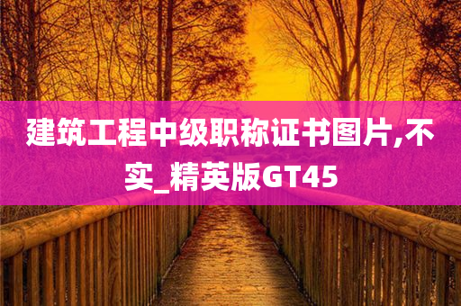 建筑工程中级职称证书图片,不实_精英版GT45