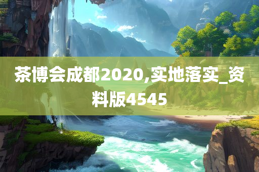 茶博会成都2020,实地落实_资料版4545