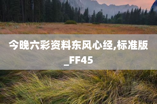 今晚六彩资料东风心经,标准版_FF45