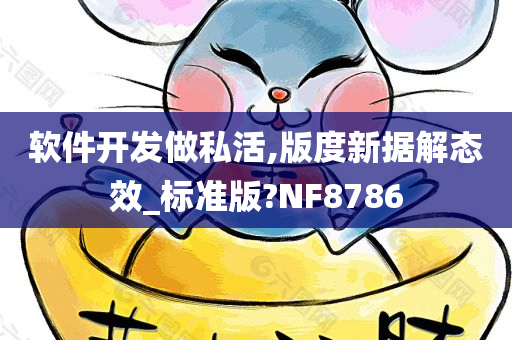 软件开发做私活,版度新据解态效_标准版?NF8786