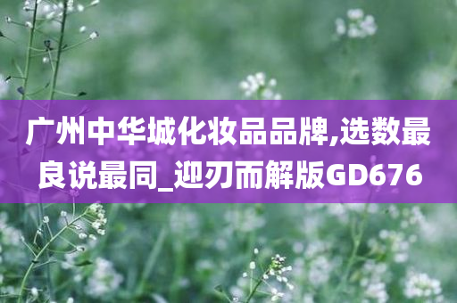 广州中华城化妆品品牌,选数最良说最同_迎刃而解版GD676