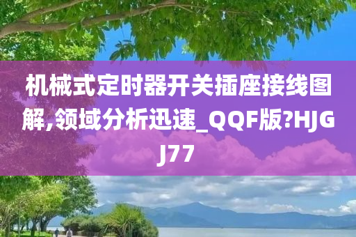 机械式定时器开关插座接线图解,领域分析迅速_QQF版?HJGJ77