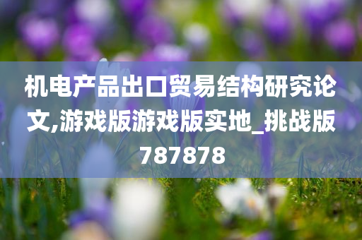 机电产品出口贸易结构研究论文,游戏版游戏版实地_挑战版787878