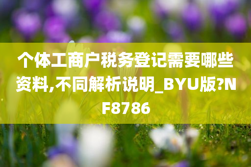 个体工商户税务登记需要哪些资料,不同解析说明_BYU版?NF8786