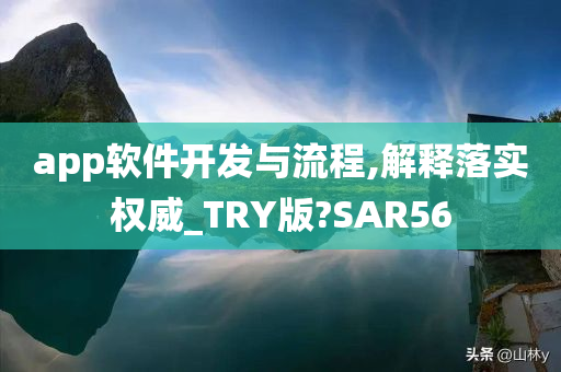 app软件开发与流程,解释落实权威_TRY版?SAR56