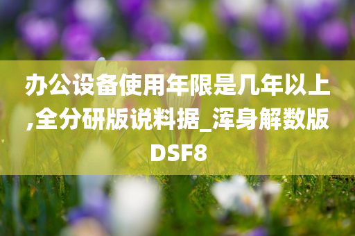 办公设备使用年限是几年以上,全分研版说料据_浑身解数版DSF8