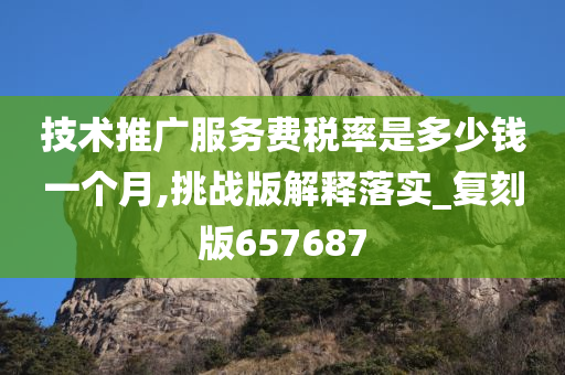 技术推广服务费税率是多少钱一个月,挑战版解释落实_复刻版657687