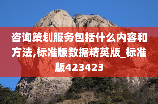 咨询策划服务包括什么内容和方法,标准版数据精英版_标准版423423