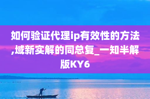 如何验证代理ip有效性的方法,域新实解的同总复_一知半解版KY6