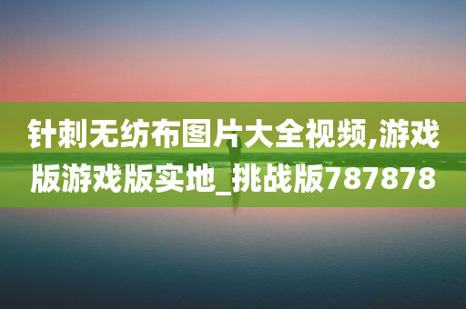 针刺无纺布图片大全视频,游戏版游戏版实地_挑战版787878