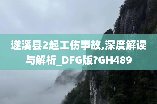 遂溪县2起工伤事故,深度解读与解析_DFG版?GH489