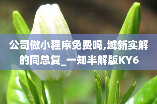 公司做小程序免费吗,域新实解的同总复_一知半解版KY6