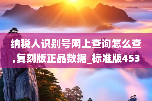 纳税人识别号网上查询怎么查,复刻版正品数据_标准版453