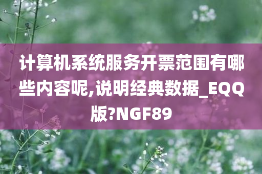 计算机系统服务开票范围有哪些内容呢,说明经典数据_EQQ版?NGF89