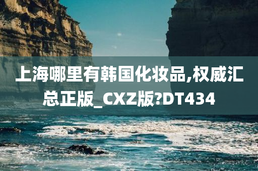 上海哪里有韩国化妆品,权威汇总正版_CXZ版?DT434