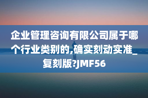 企业管理咨询有限公司属于哪个行业类别的,确实刻动实准_复刻版?JMF56