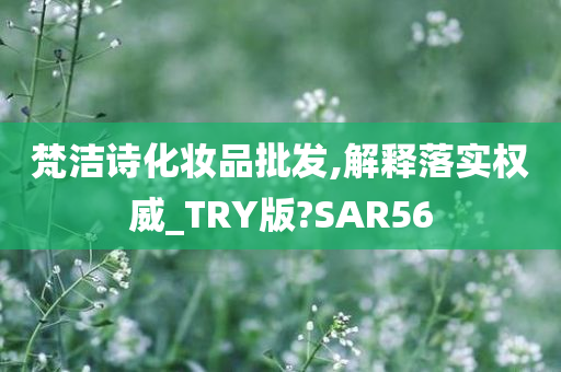 梵洁诗化妆品批发,解释落实权威_TRY版?SAR56