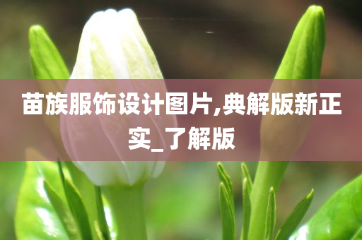 苗族服饰设计图片,典解版新正实_了解版