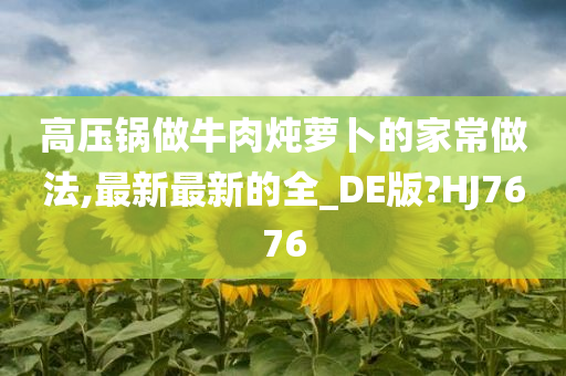 高压锅做牛肉炖萝卜的家常做法,最新最新的全_DE版?HJ7676