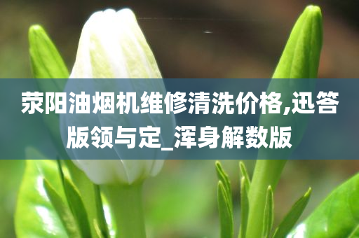 荥阳油烟机维修清洗价格,迅答版领与定_浑身解数版