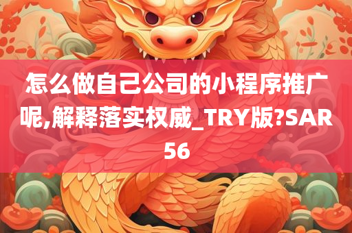 怎么做自己公司的小程序推广呢,解释落实权威_TRY版?SAR56