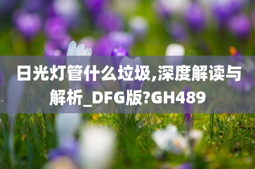 日光灯管什么垃圾,深度解读与解析_DFG版?GH489