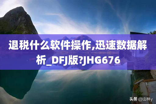 退税什么软件操作,迅速数据解析_DFJ版?JHG676