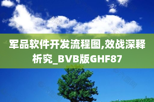 军品软件开发流程图,效战深释析究_BVB版GHF87