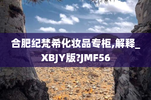 合肥纪梵希化妆品专柜,解释_XBJY版?JMF56