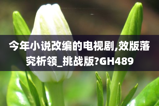 今年小说改编的电视剧,效版落究析领_挑战版?GH489