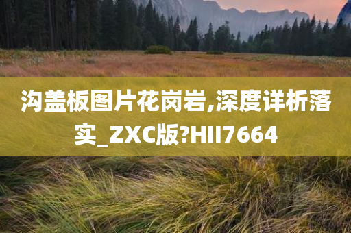 沟盖板图片花岗岩,深度详析落实_ZXC版?HII7664