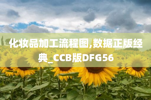 化妆品加工流程图,数据正版经典_CCB版DFG56