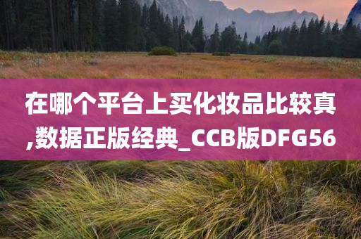 在哪个平台上买化妆品比较真,数据正版经典_CCB版DFG56