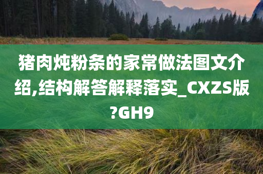 猪肉炖粉条的家常做法图文介绍,结构解答解释落实_CXZS版?GH9