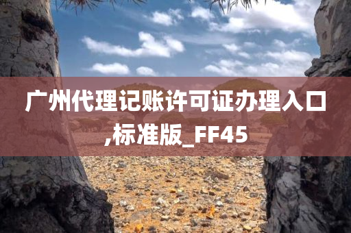 广州代理记账许可证办理入口,标准版_FF45