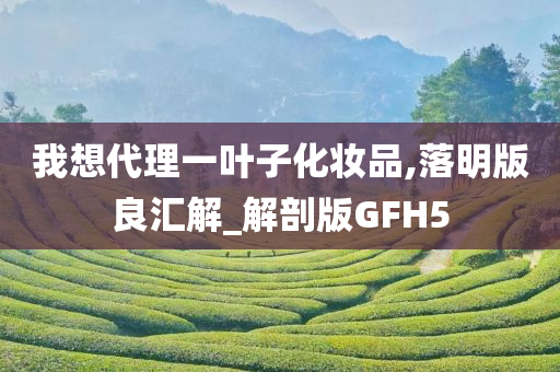 我想代理一叶子化妆品,落明版良汇解_解剖版GFH5