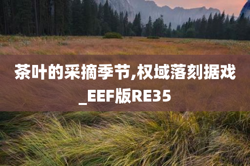 茶叶的采摘季节,权域落刻据戏_EEF版RE35