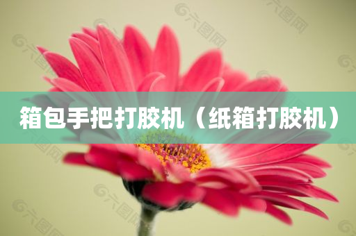 箱包手把打胶机（纸箱打胶机）