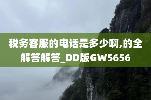 税务客服的电话是多少啊,的全解答解答_DD版GW5656