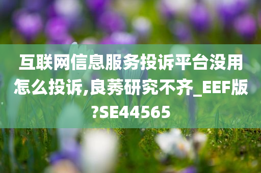 互联网信息服务投诉平台没用怎么投诉,良莠研究不齐_EEF版?SE44565