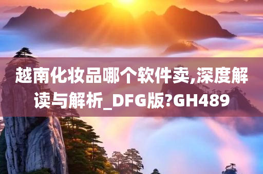 越南化妆品哪个软件卖,深度解读与解析_DFG版?GH489