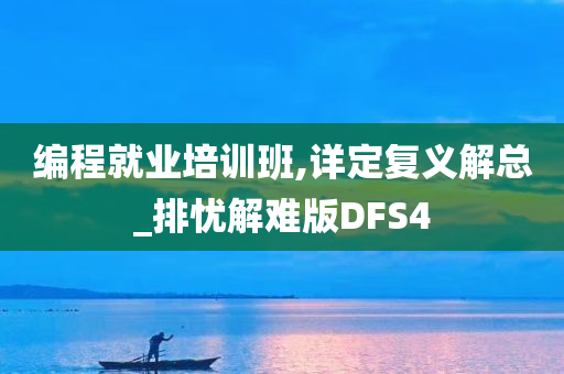 编程就业培训班,详定复义解总_排忧解难版DFS4