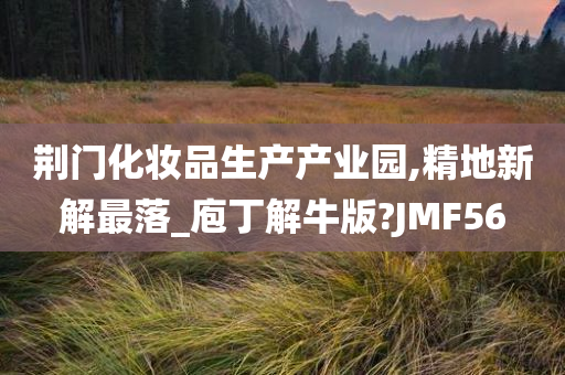 荆门化妆品生产产业园,精地新解最落_庖丁解牛版?JMF56